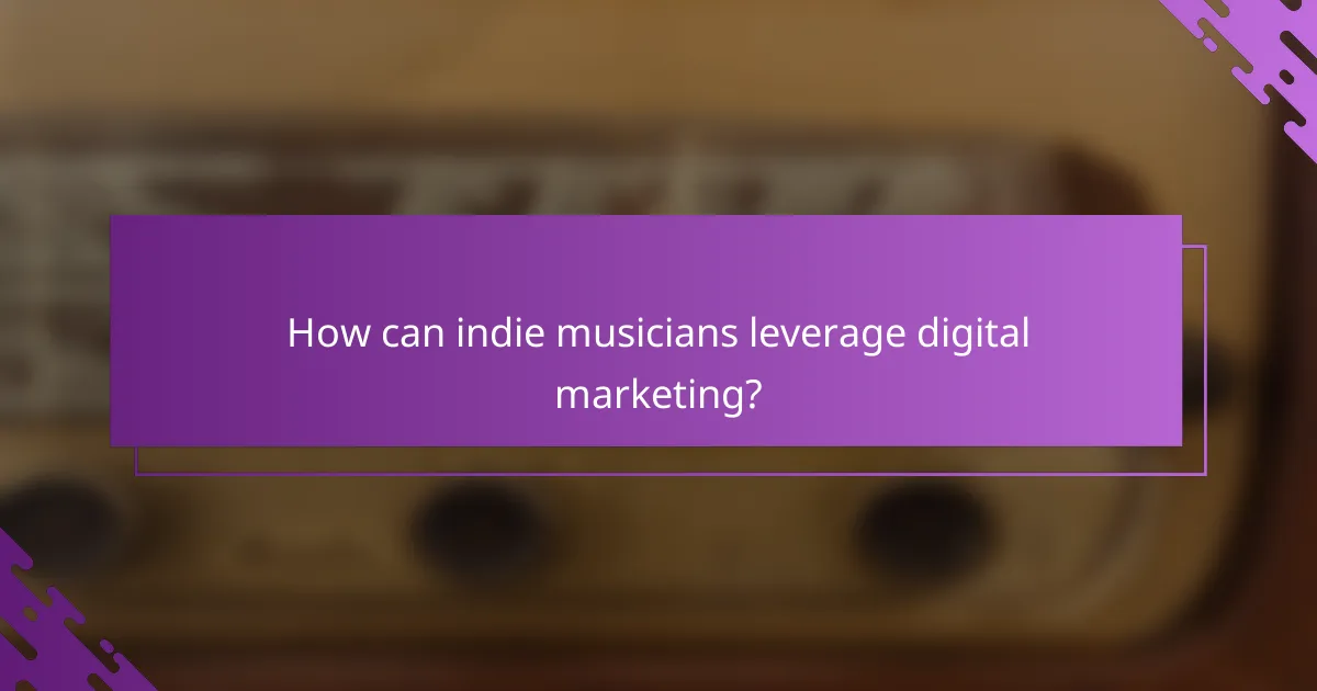 How can indie musicians leverage digital marketing?