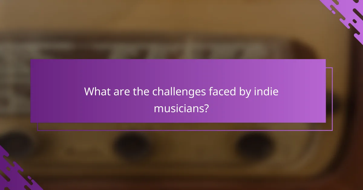 What are the challenges faced by indie musicians?