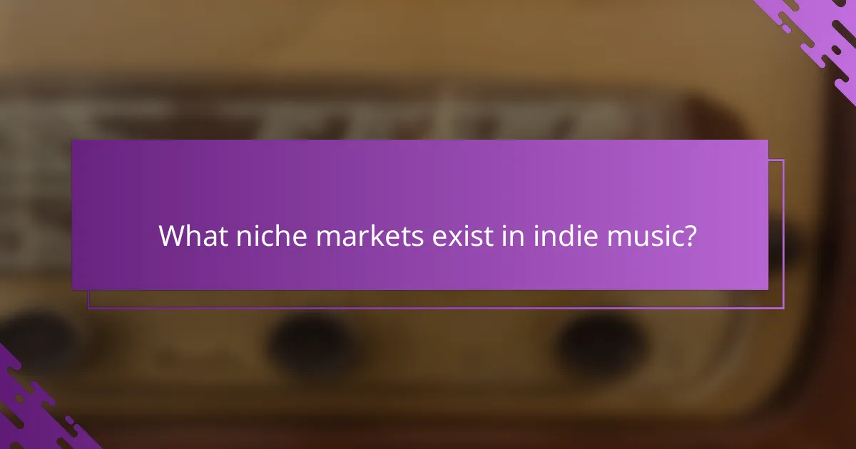 What niche markets exist in indie music?