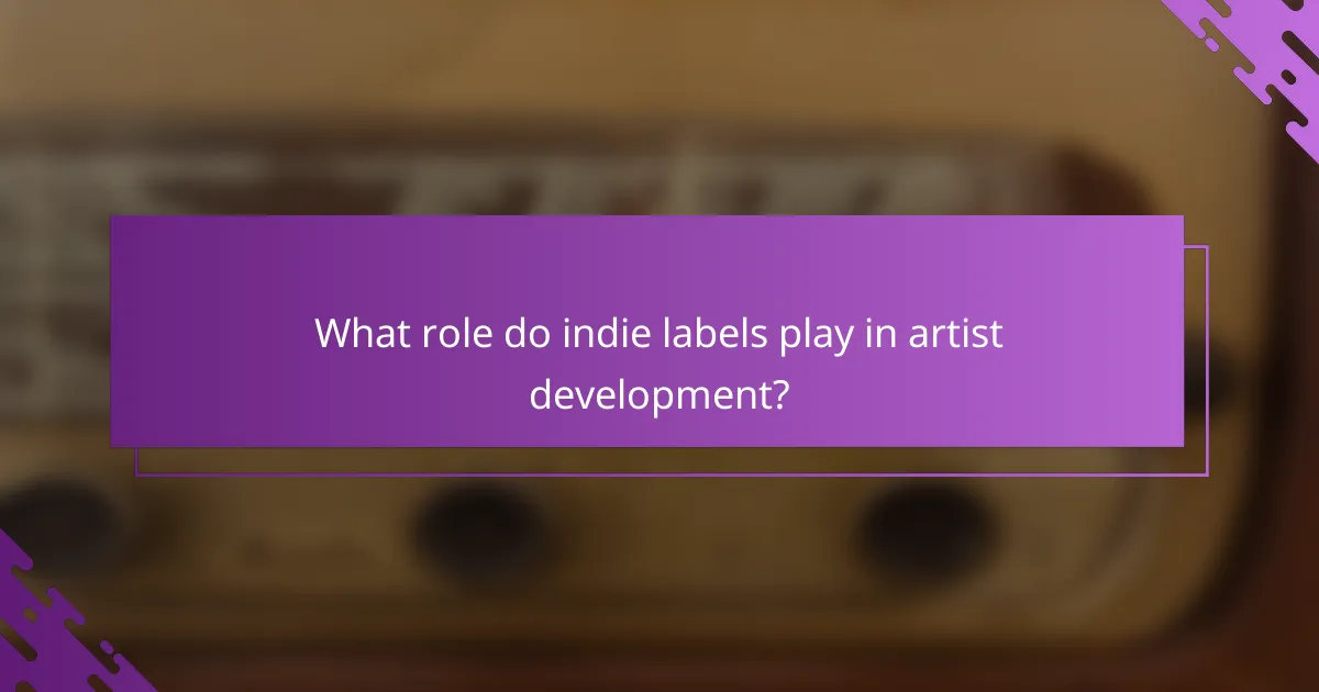 What role do indie labels play in artist development?